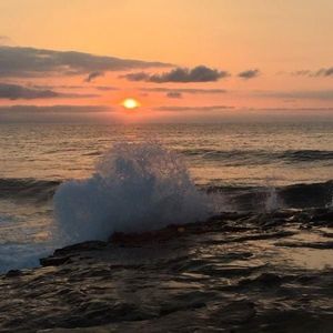 Meet your Posher, Kilee